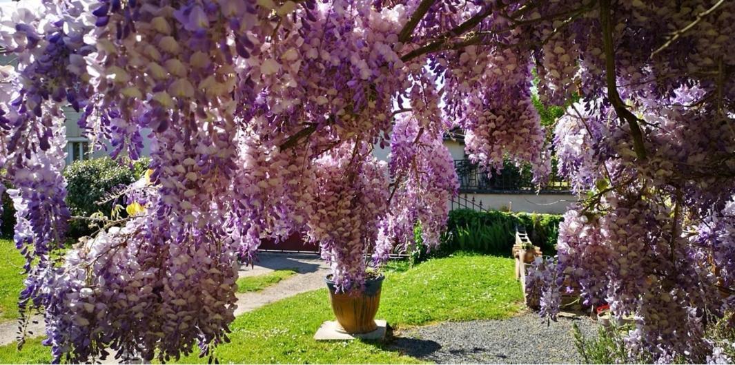 La Ferme Du Grand Bois Apartment Mouterre-Silly Екстериор снимка