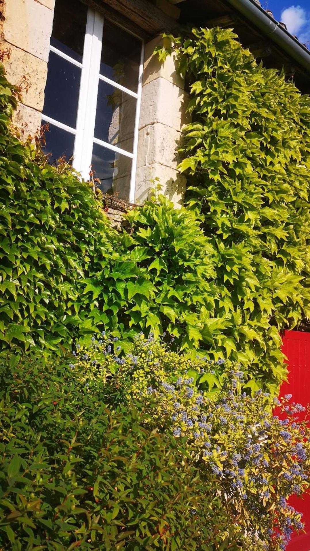 La Ferme Du Grand Bois Apartment Mouterre-Silly Екстериор снимка